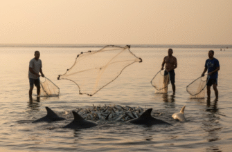 The Hunting Partnership Between Humans and Wild Dolphins