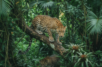 The Hunting Strategies of Leopards in Dense Jungle