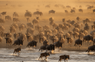 The Migration Journey of Wildebeest Across African Plains