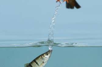 Defense Mechanisms of Archerfish Against Aerial Predators