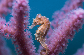 Defense Mechanisms of Pygmy Seahorses Matching Coral Exactly
