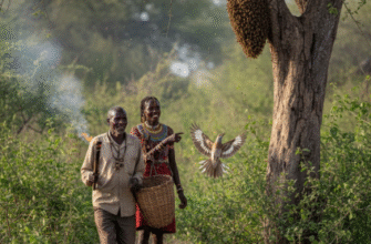 How Honeyguide Birds Lead Humans to Bee Colonies